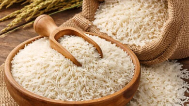 *त्योहारी सीजन में सुगंधित व ब्रांडेड चावल की बढ़ी मांग, आपूर्ति कम किसानों के पास भी खुले बाजार में बेचने के लिए पर्याप्त स्टाक नहीं*  *100 रुपये तक पहुंचे अच्छी किस्म के चावल 20-25 रुपए के दाम*